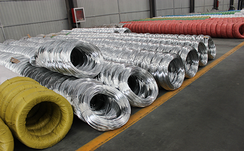 IMG_8428.jpg IMG_8428.jpg