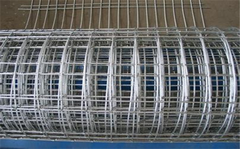 apbole21385782.jpg apbole21385782.jpg