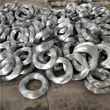 IMG_20181108_141651.jpg IMG_20181108_141651.jpg