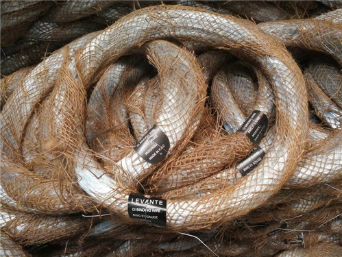 IMG_20190519_095301.jpg IMG_20190519_095301.jpg