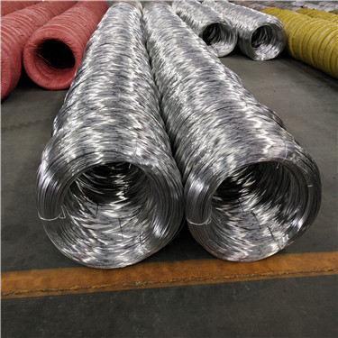 IMG_20180704_095555.jpg IMG_20180704_095555.jpg